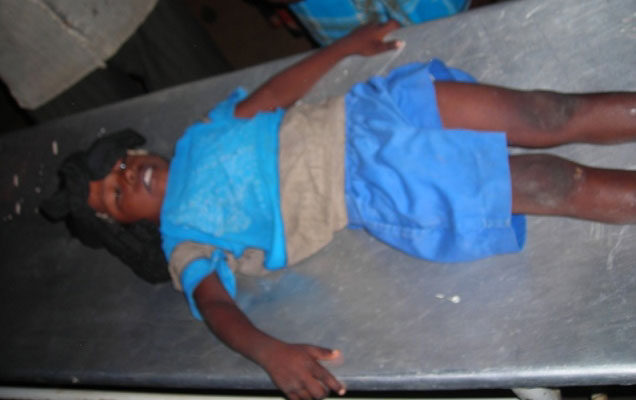 SLAF Bombing of TRO IDP Camp